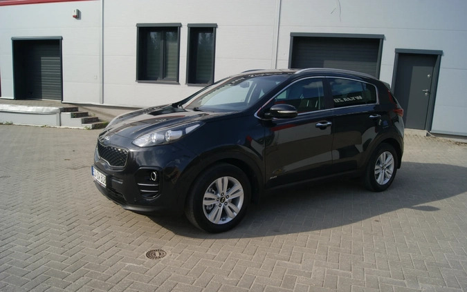 Kia Sportage cena 69500 przebieg: 184258, rok produkcji 2016 z Śmigiel małe 436